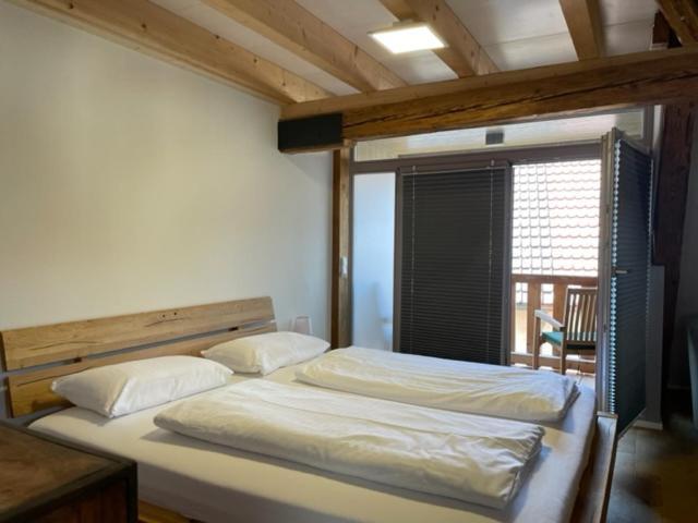 Bodenseehotel Krone & Gaestehaus บอดมัน-ลุดวิกส์ฮาเฟิน ภายนอก รูปภาพ
